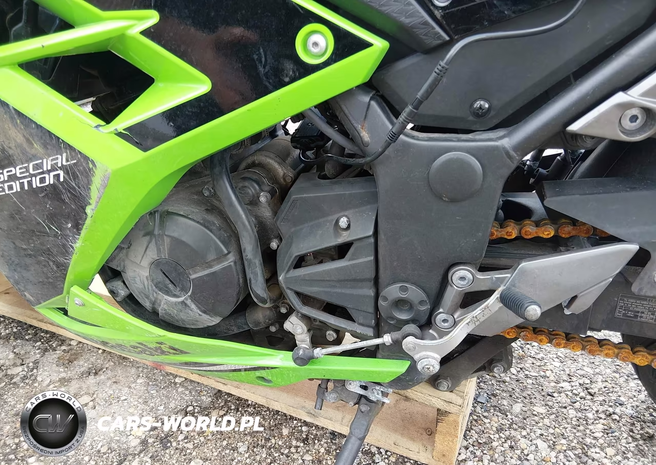 2014 Kawasaki Ex300 A VIN:JKAEX8A14EA008394 - 9