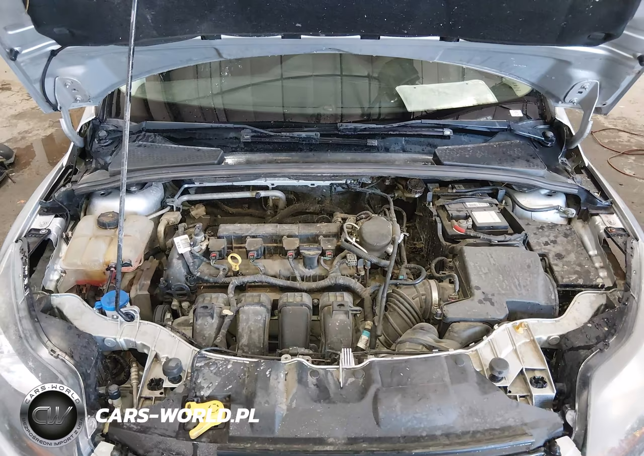 2014 Ford Focus Titanium VIN:1FADP3N26EL206346 - 10