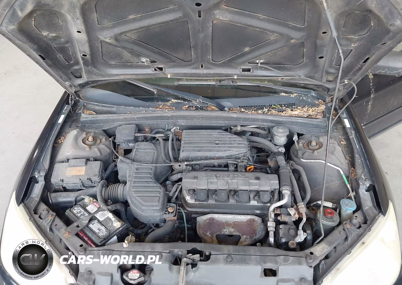 2004 Honda Civic Lx VIN:2HGES16544H508709 - 10