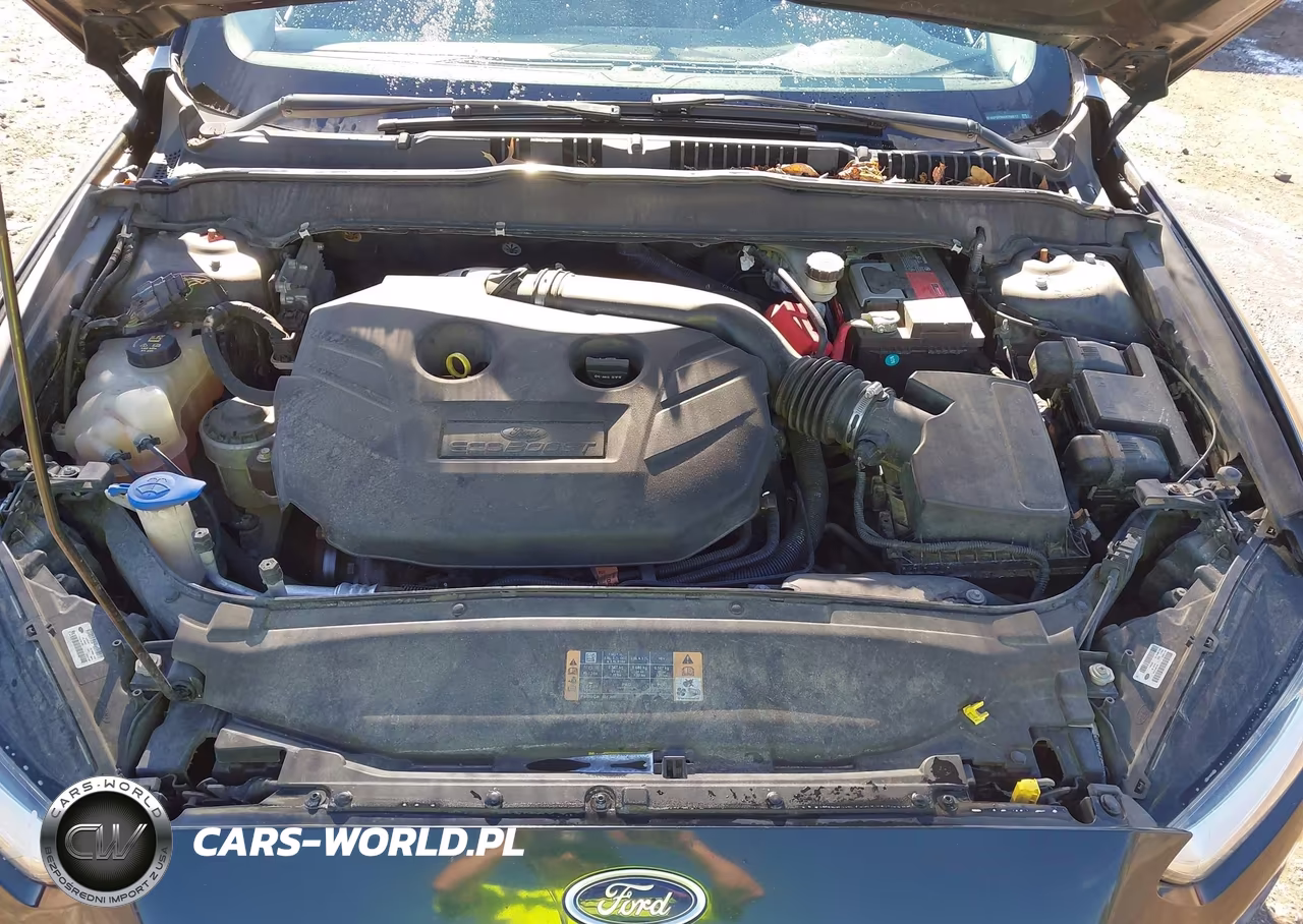 2014 Ford Fusion Titanium VIN:3FA6P0K96ER200217 - 10