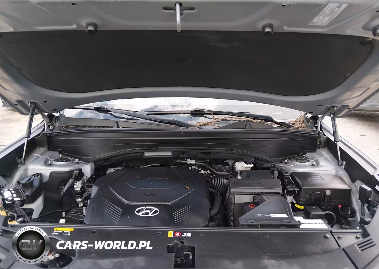 2020 Hyundai Palisade Limited VIN:KM8R5DHE4LU157801 - 10