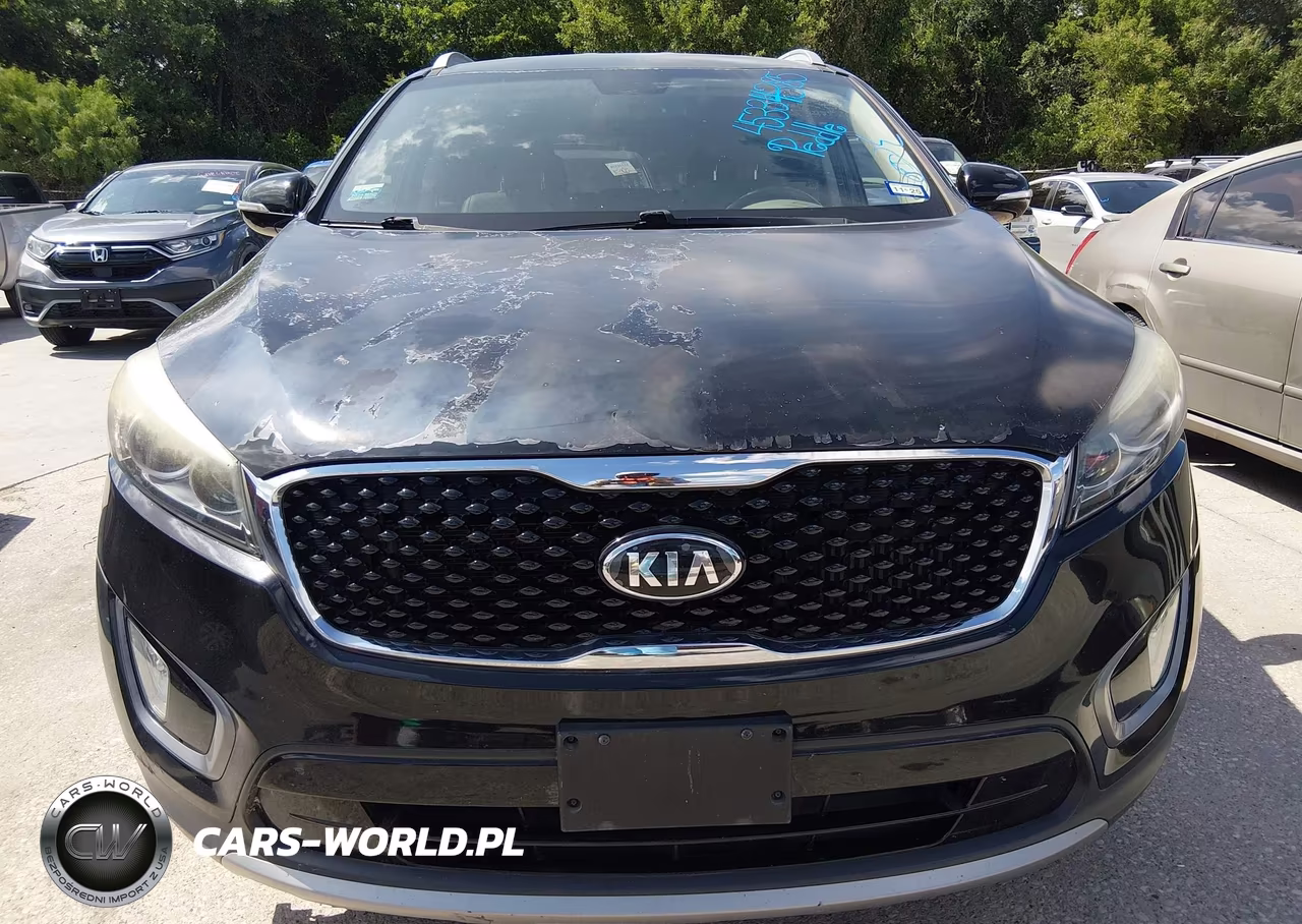 2016 Kia Sorento 2.0T Ex VIN:5XYPHDA17GG009840 - 12