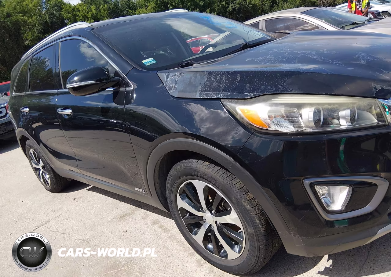 2016 Kia Sorento 2.0T Ex VIN:5XYPHDA17GG009840 - 13