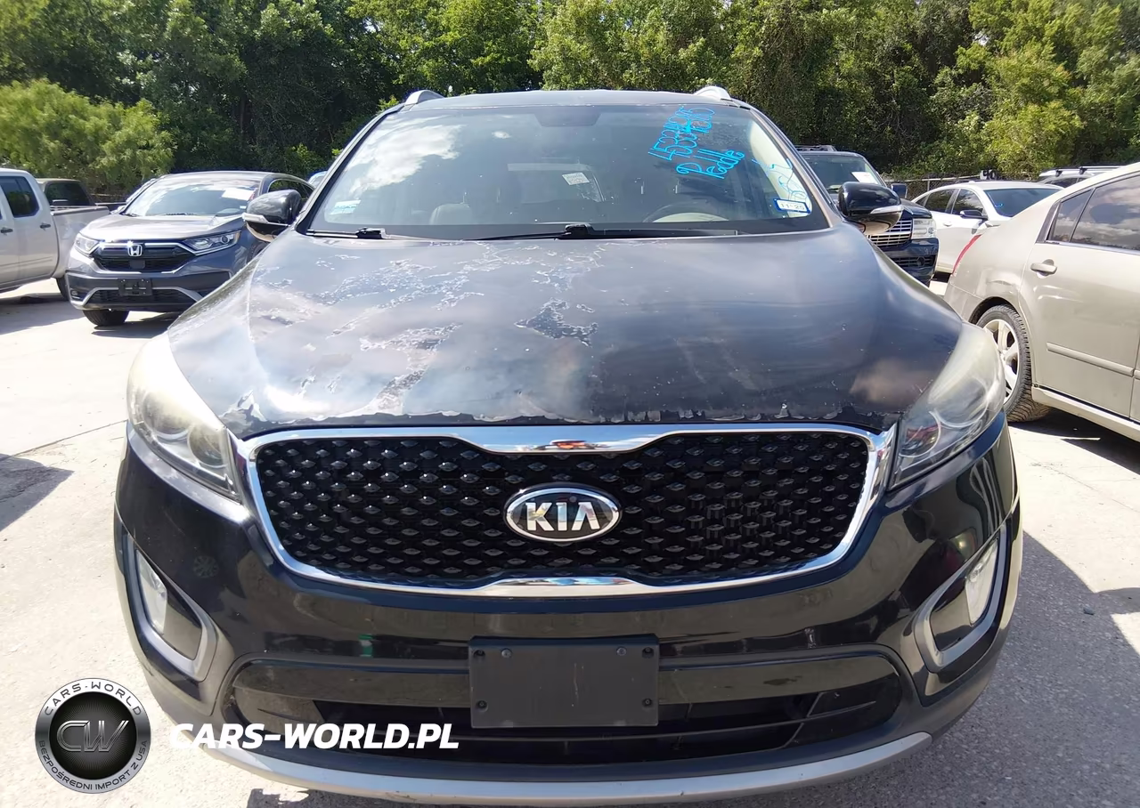 2016 Kia Sorento 2.0T Ex VIN:5XYPHDA17GG009840 - 6