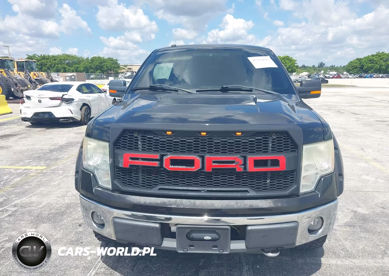 2010 Ford F-150 Fx4-Lariat-Xl-Xlt VIN:1FTFX1EV1AFB46194 - 12