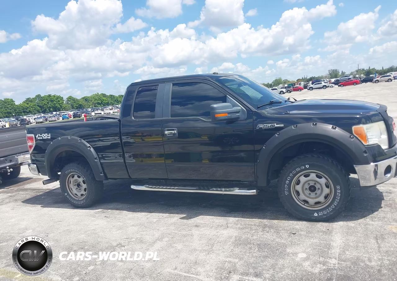 2010 Ford F-150 Fx4-Lariat-Xl-Xlt VIN:1FTFX1EV1AFB46194 - 13