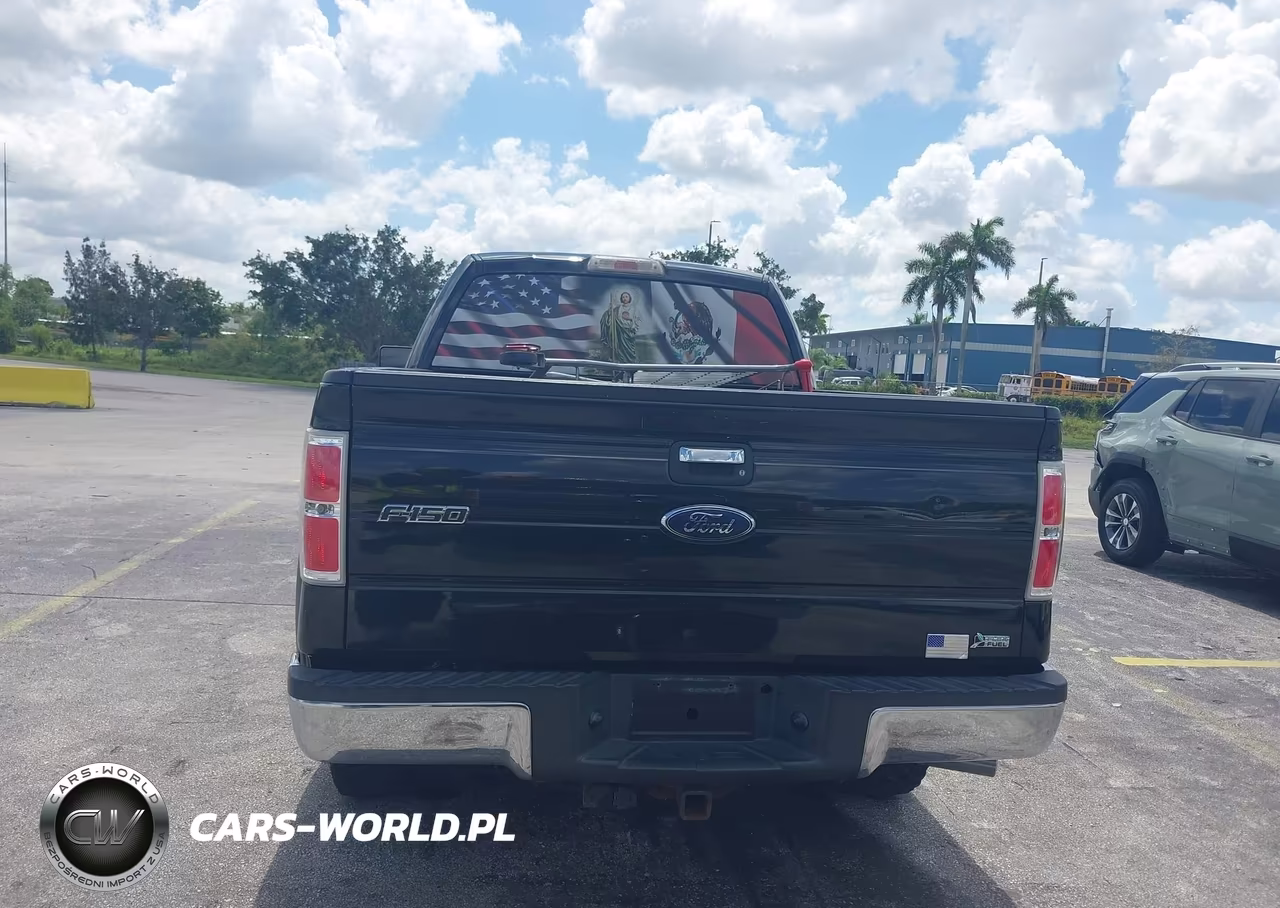 2010 Ford F-150 Fx4-Lariat-Xl-Xlt VIN:1FTFX1EV1AFB46194 - 16