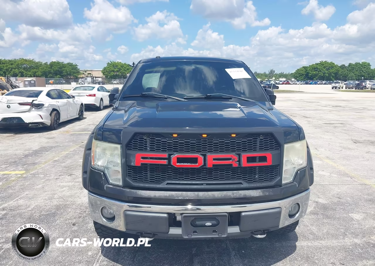 2010 Ford F-150 Fx4-Lariat-Xl-Xlt VIN:1FTFX1EV1AFB46194 - 17