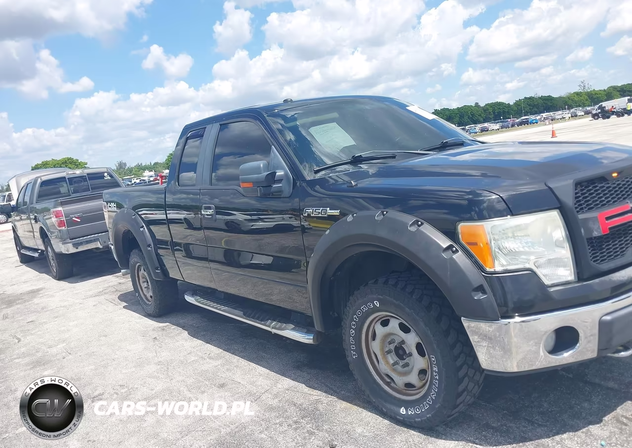 2010 Ford F-150 Fx4-Lariat-Xl-Xlt VIN:1FTFX1EV1AFB46194 - 18
