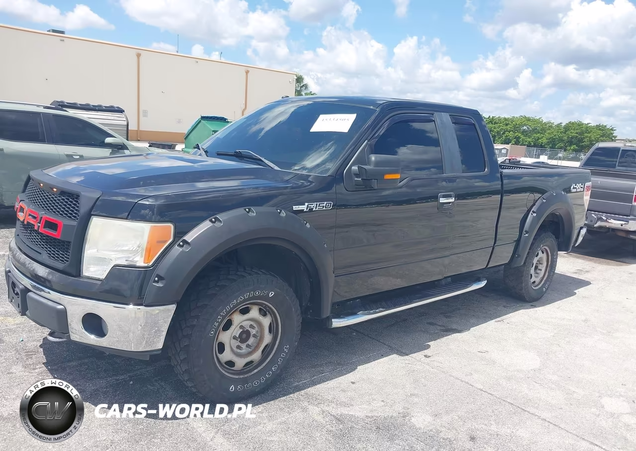 2010 Ford F-150 Fx4-Lariat-Xl-Xlt VIN:1FTFX1EV1AFB46194 - 19