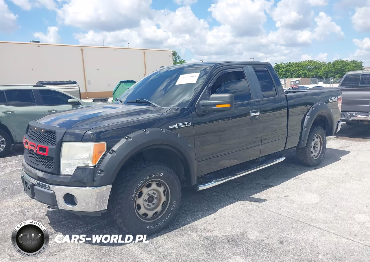 2010 Ford F-150 Fx4-Lariat-Xl-Xlt VIN:1FTFX1EV1AFB46194 - 2