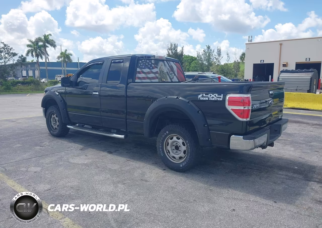 2010 Ford F-150 Fx4-Lariat-Xl-Xlt VIN:1FTFX1EV1AFB46194 - 3