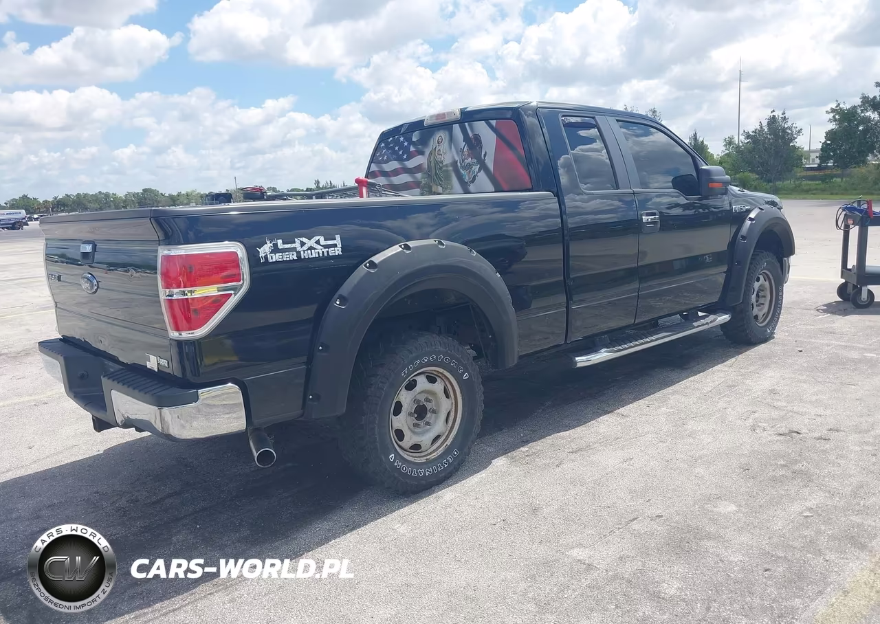 2010 Ford F-150 Fx4-Lariat-Xl-Xlt VIN:1FTFX1EV1AFB46194 - 4