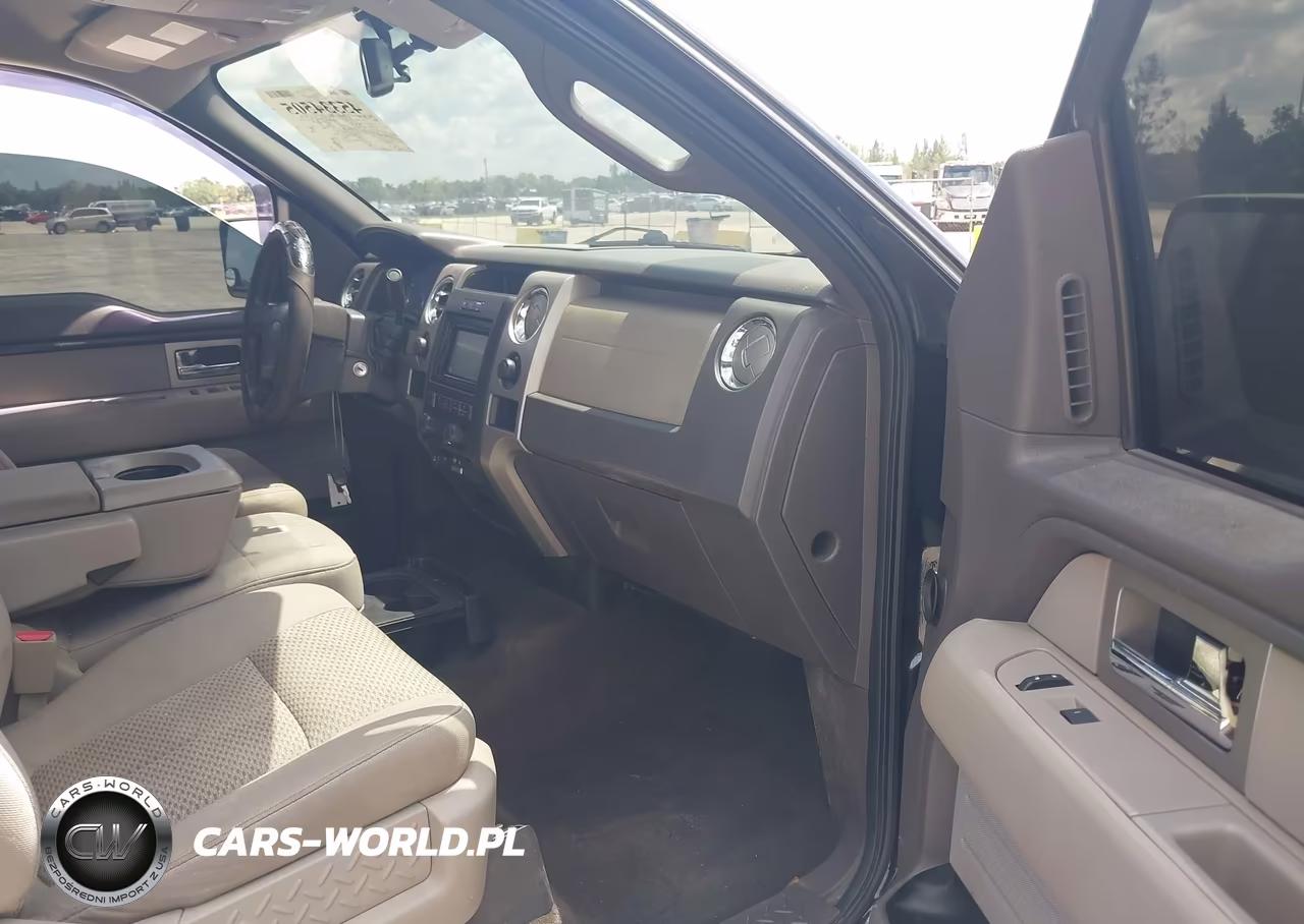 2010 Ford F-150 Fx4-Lariat-Xl-Xlt VIN:1FTFX1EV1AFB46194 - 5