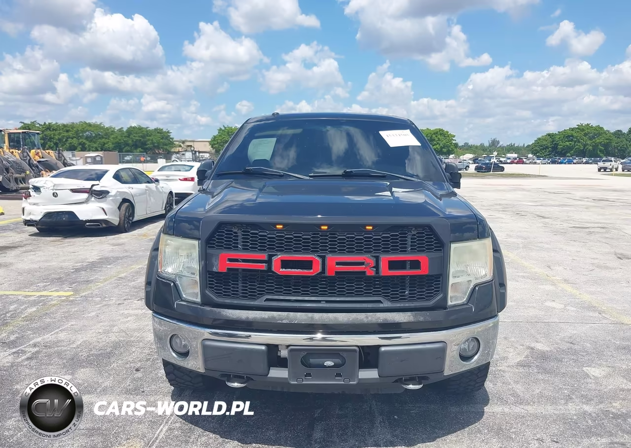 2010 Ford F-150 Fx4-Lariat-Xl-Xlt VIN:1FTFX1EV1AFB46194 - 6