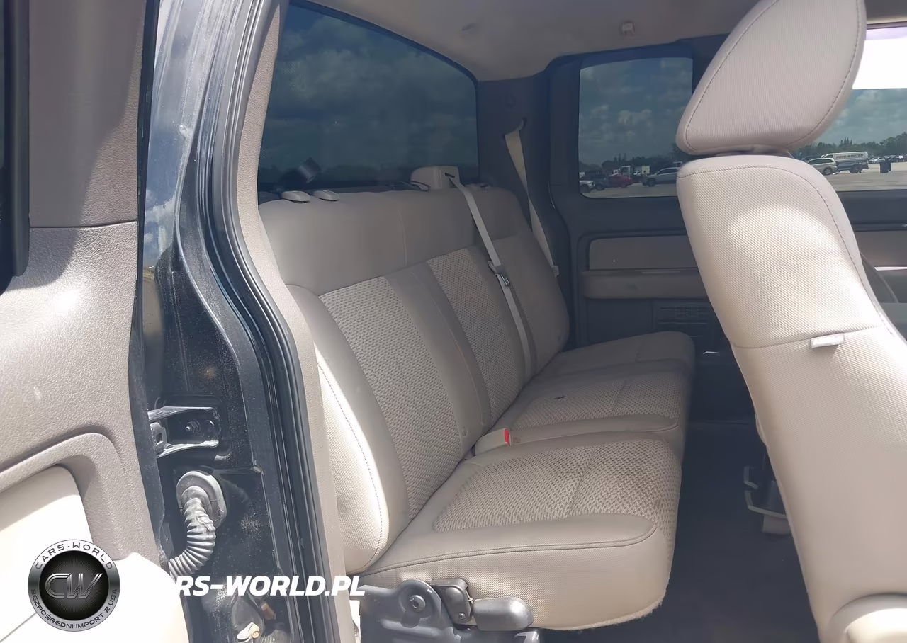 2010 Ford F-150 Fx4-Lariat-Xl-Xlt VIN:1FTFX1EV1AFB46194 - 8