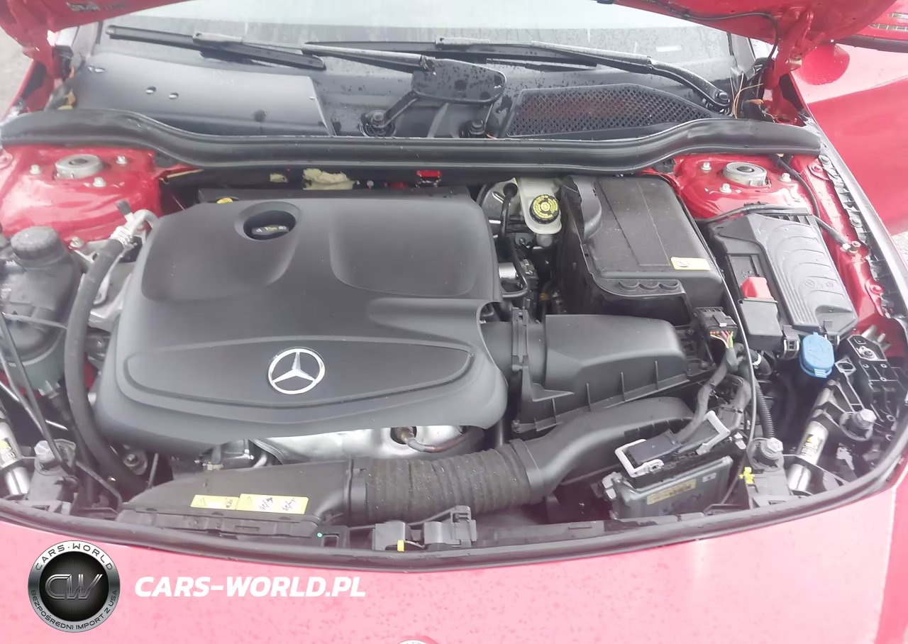 2014 Mercedes-Benz Cla 250 VIN:WDDSJ4EB0EN152349 - 10