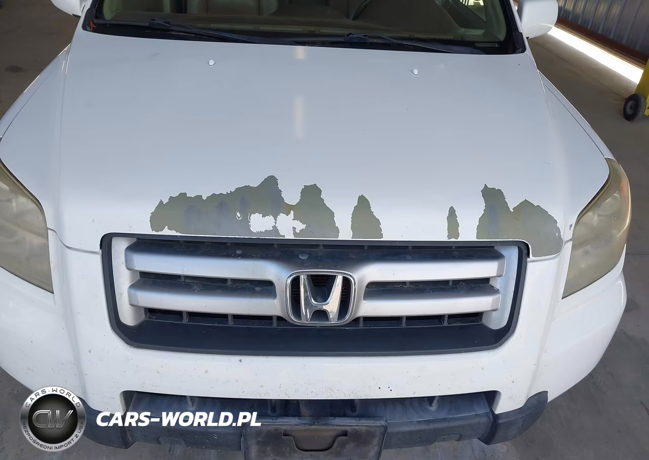 2007 Honda Pilot Ex-L VIN:5FNYF287X7B011212 - 6
