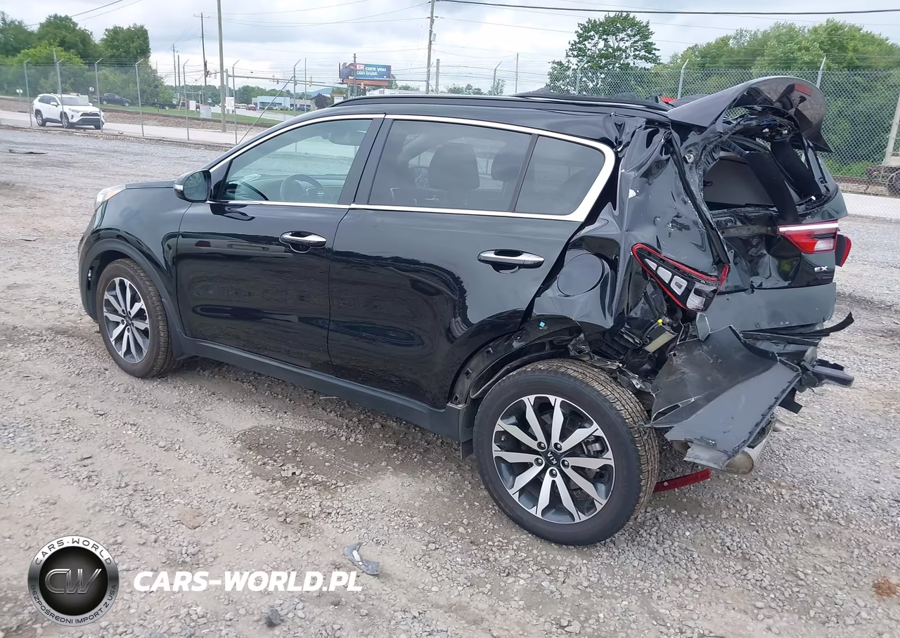 2019 Kia Sportage Ex VIN:KNDPN3AC2K7500648 - 3