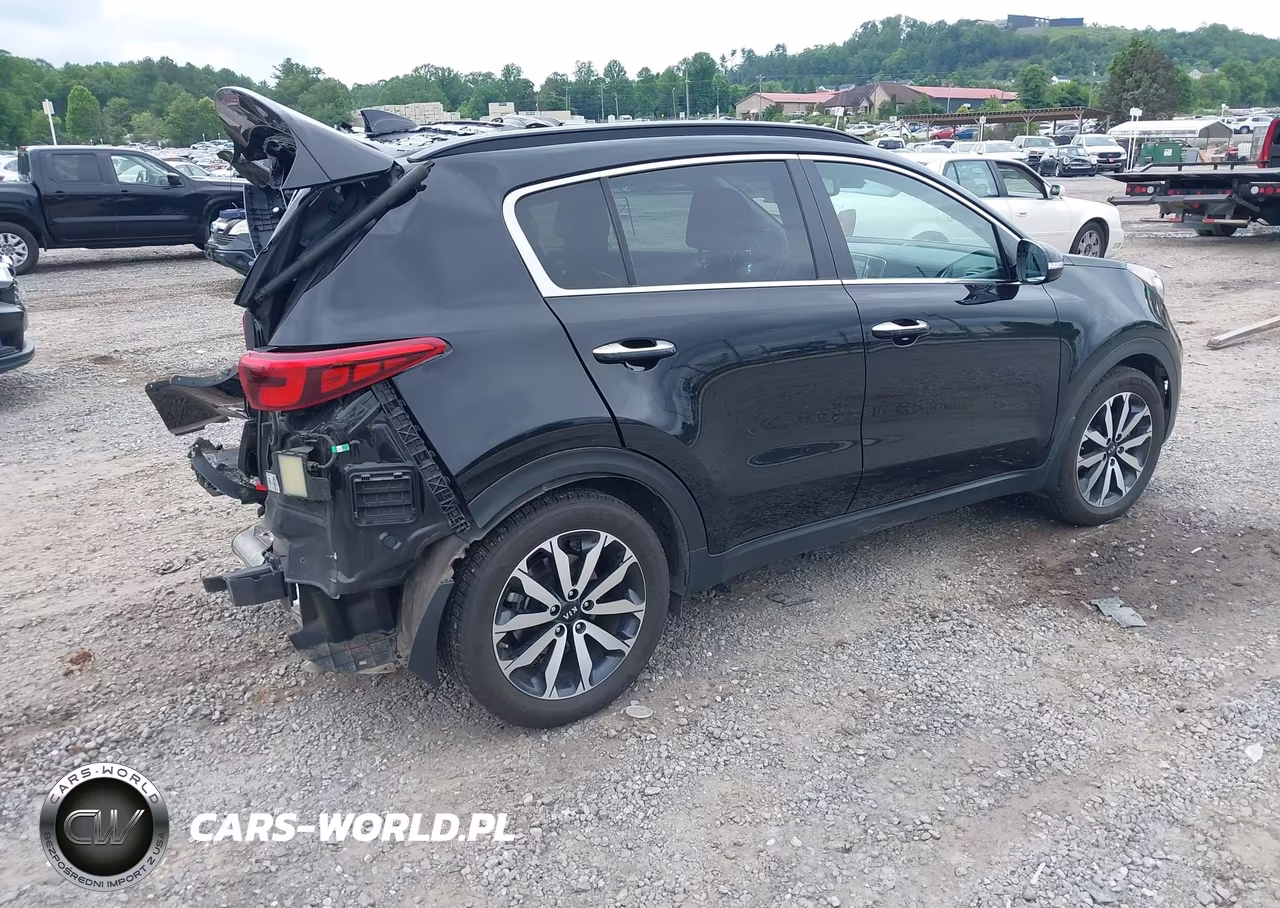 2019 Kia Sportage Ex VIN:KNDPN3AC2K7500648 - 4