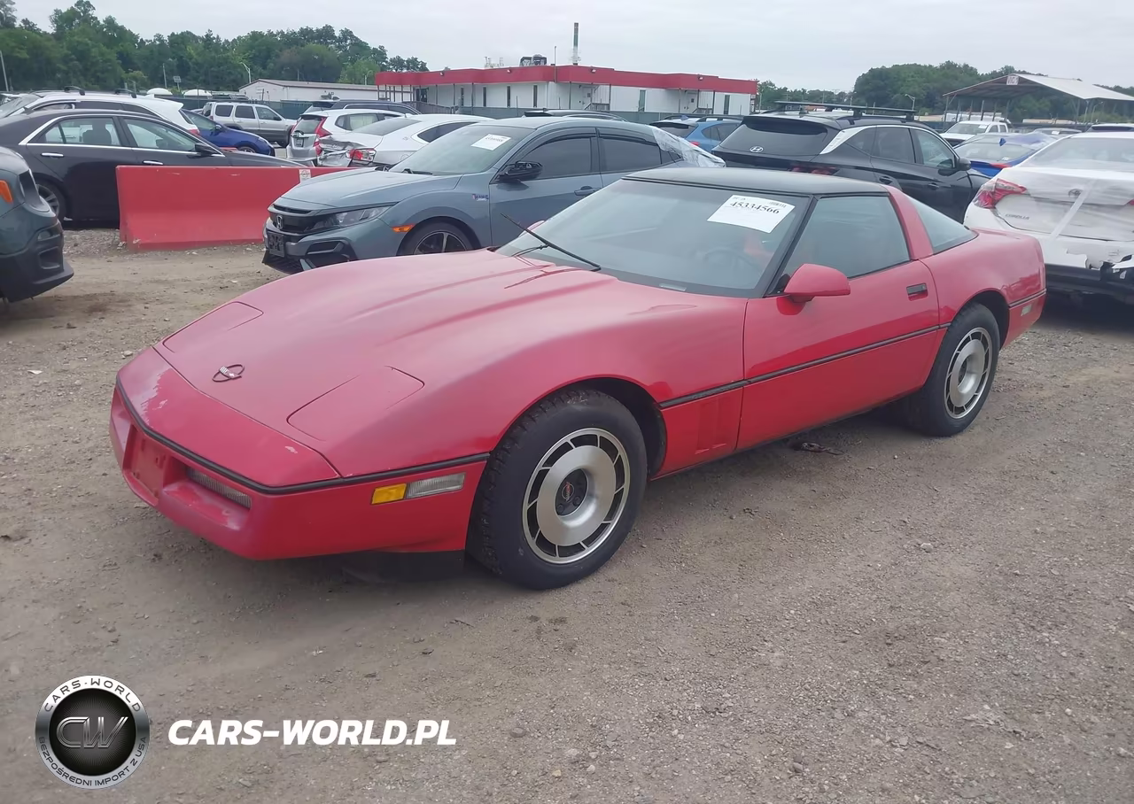 1985 Chevrolet Corvette VIN:1G1YY0785F5139455 - 2
