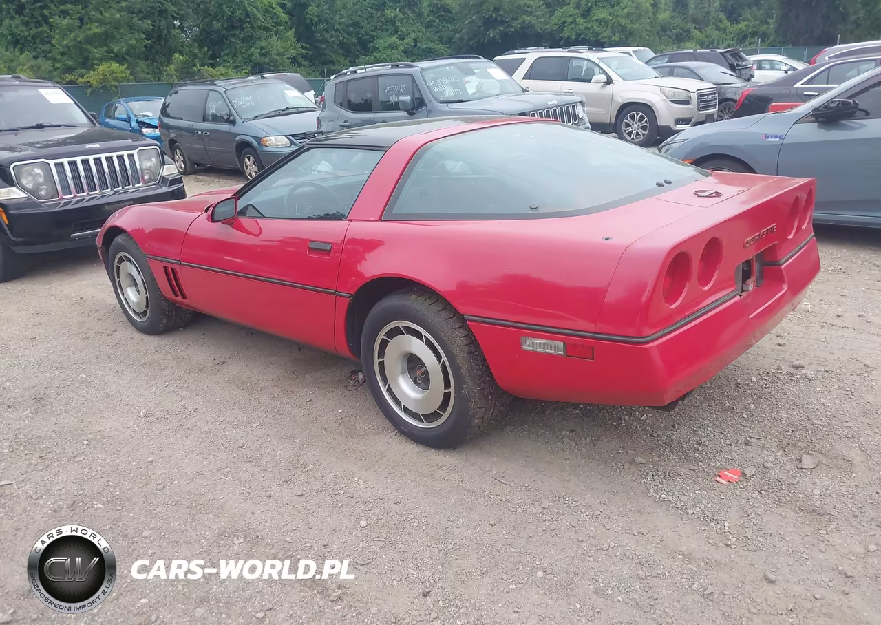 1985 Chevrolet Corvette VIN:1G1YY0785F5139455 - 3