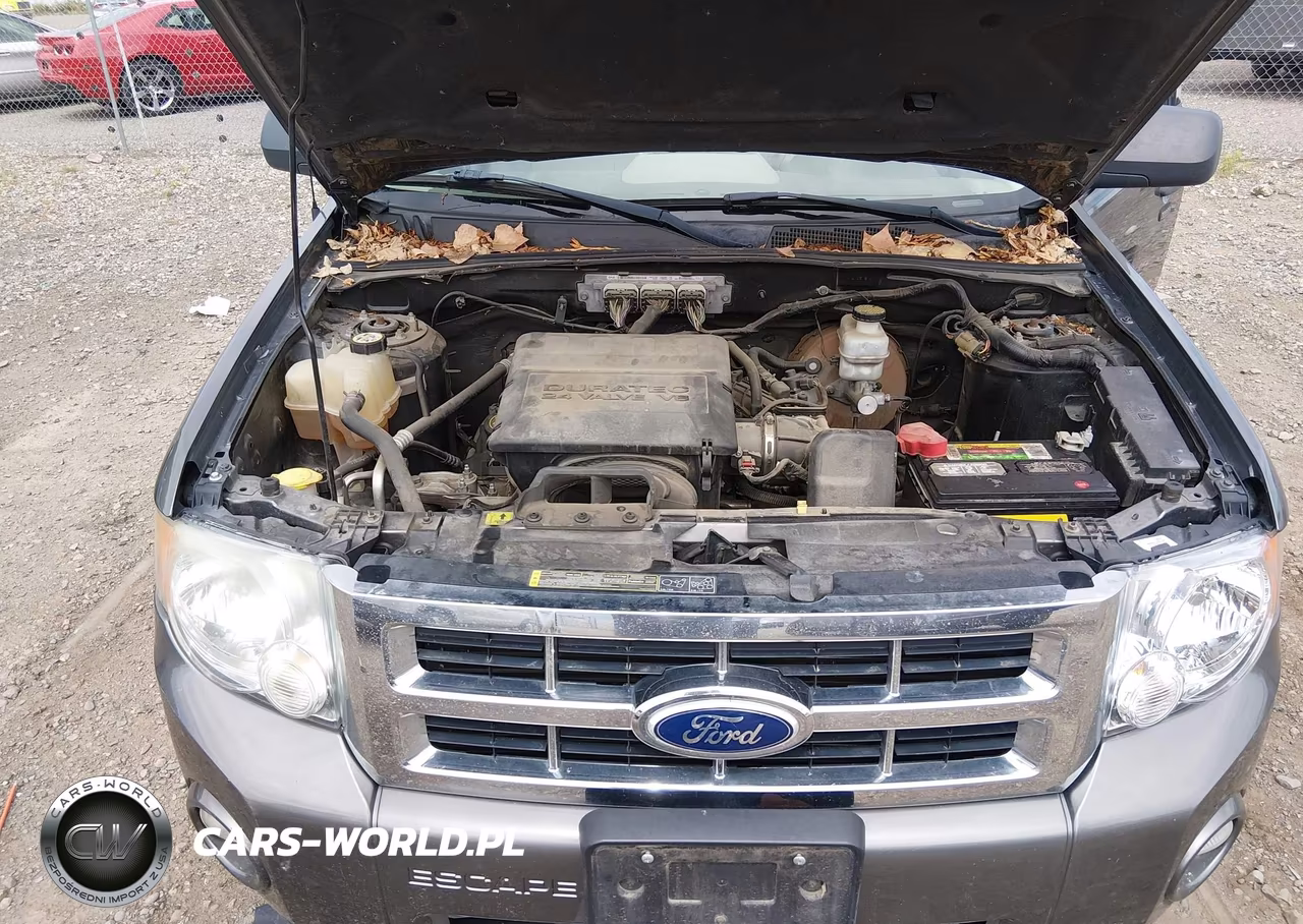2010 Ford Escape Xlt VIN:1FMCU9DG6AKA72223 - 10