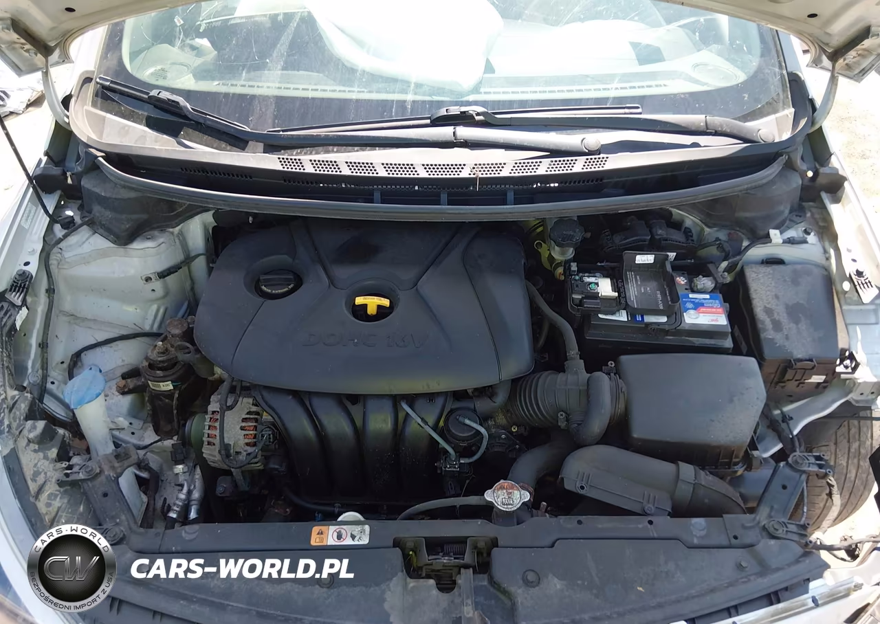 2015 Kia Forte Lx VIN:KNAFK4A6XF5336939 - 10