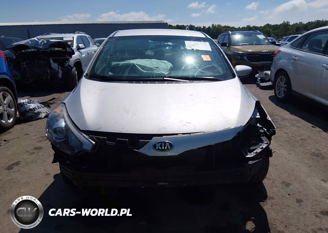 2015 Kia Forte Lx VIN:KNAFK4A6XF5336939 - 13