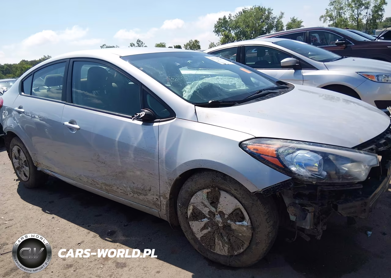 2015 Kia Forte Lx VIN:KNAFK4A6XF5336939 - 14