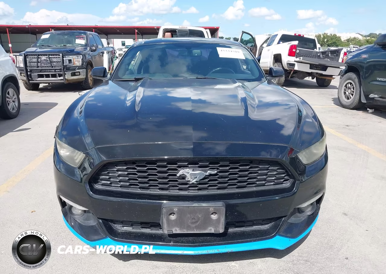 2016 Ford Mustang Ecoboost VIN:1FA6P8TH3G5253158 - 12