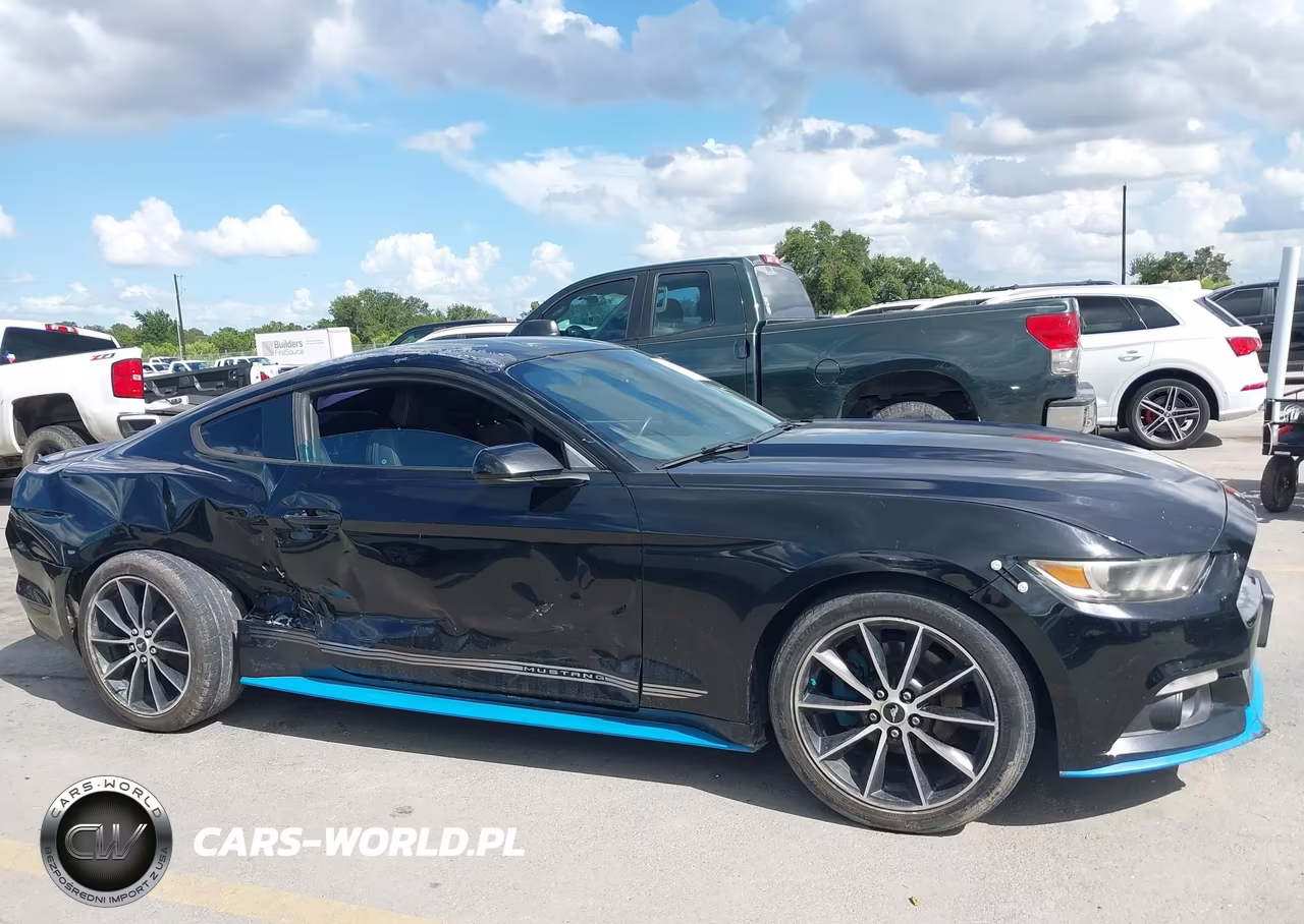 2016 Ford Mustang Ecoboost VIN:1FA6P8TH3G5253158 - 13