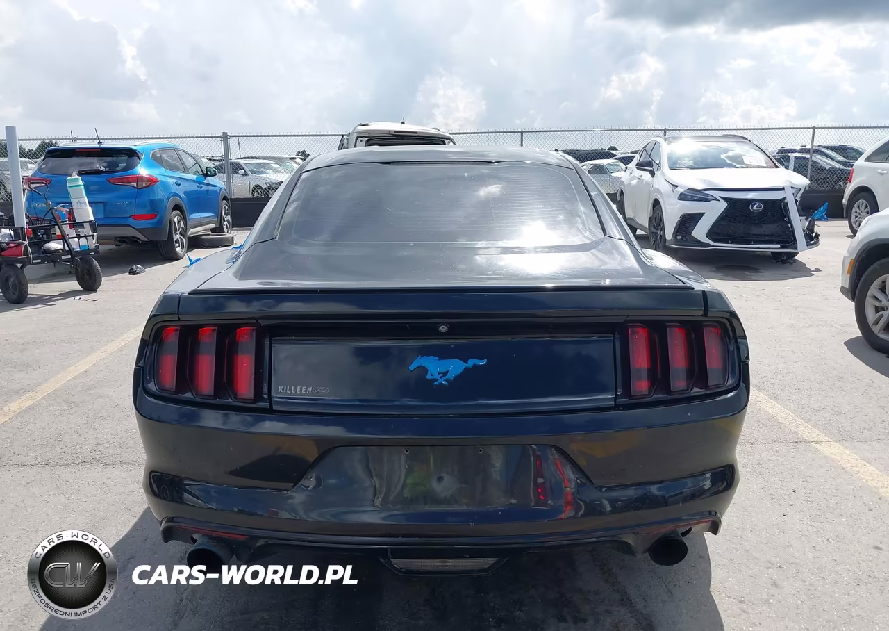 2016 Ford Mustang Ecoboost VIN:1FA6P8TH3G5253158 - 16
