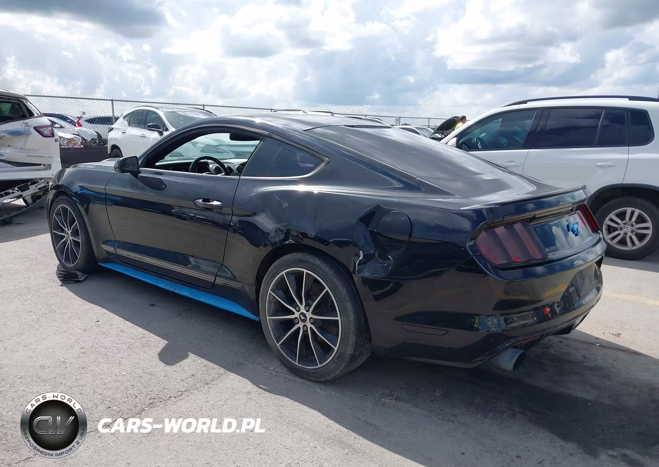 2016 Ford Mustang Ecoboost VIN:1FA6P8TH3G5253158 - 3