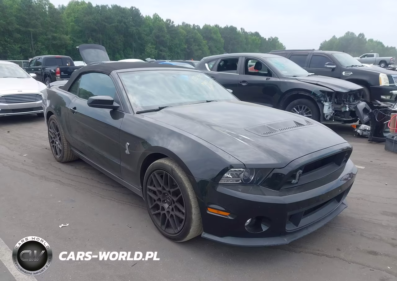 2014 Ford Shelby Gt500
