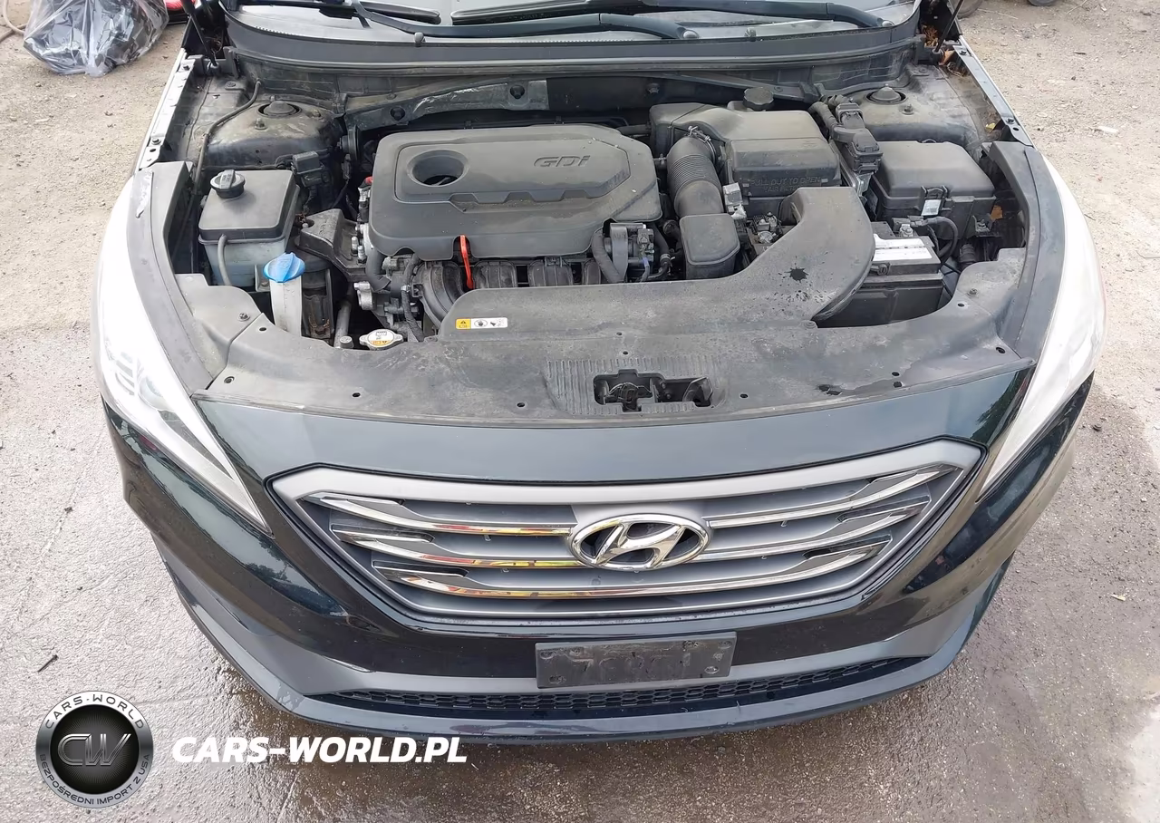2016 Hyundai Sonata Sport VIN:5NPE34AF8GH423591 - 10