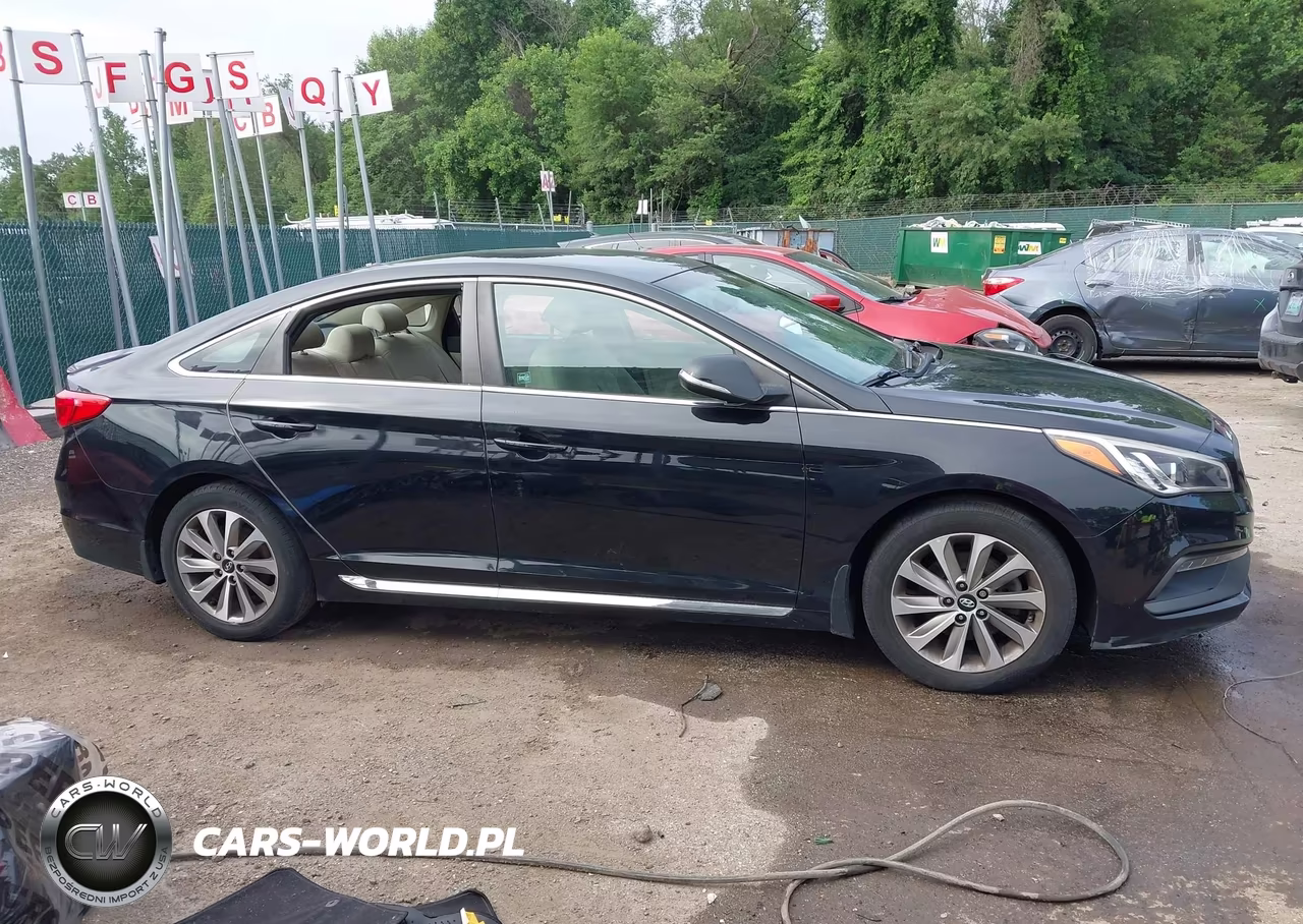 2016 Hyundai Sonata Sport VIN:5NPE34AF8GH423591 - 12