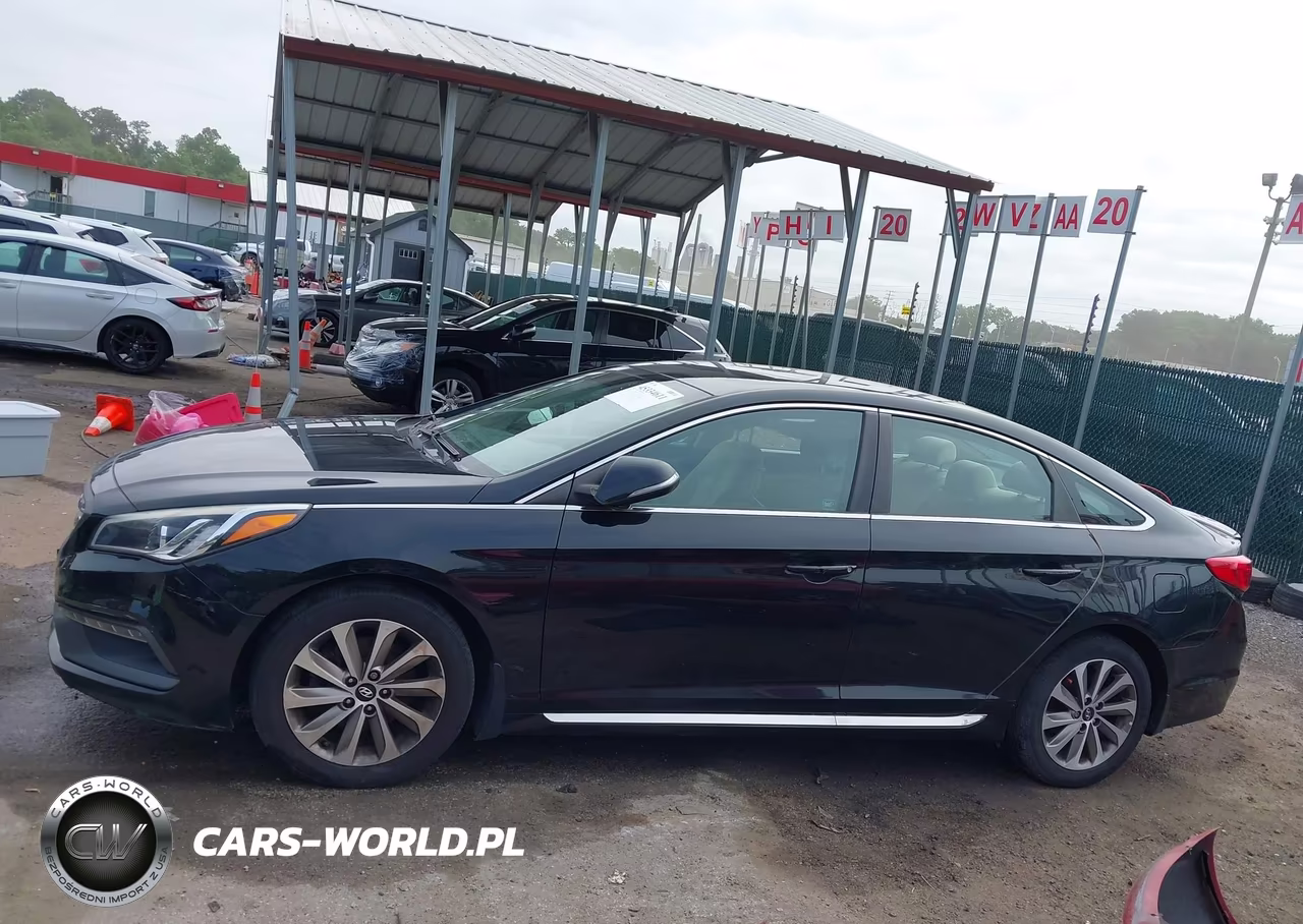 2016 Hyundai Sonata Sport VIN:5NPE34AF8GH423591 - 13