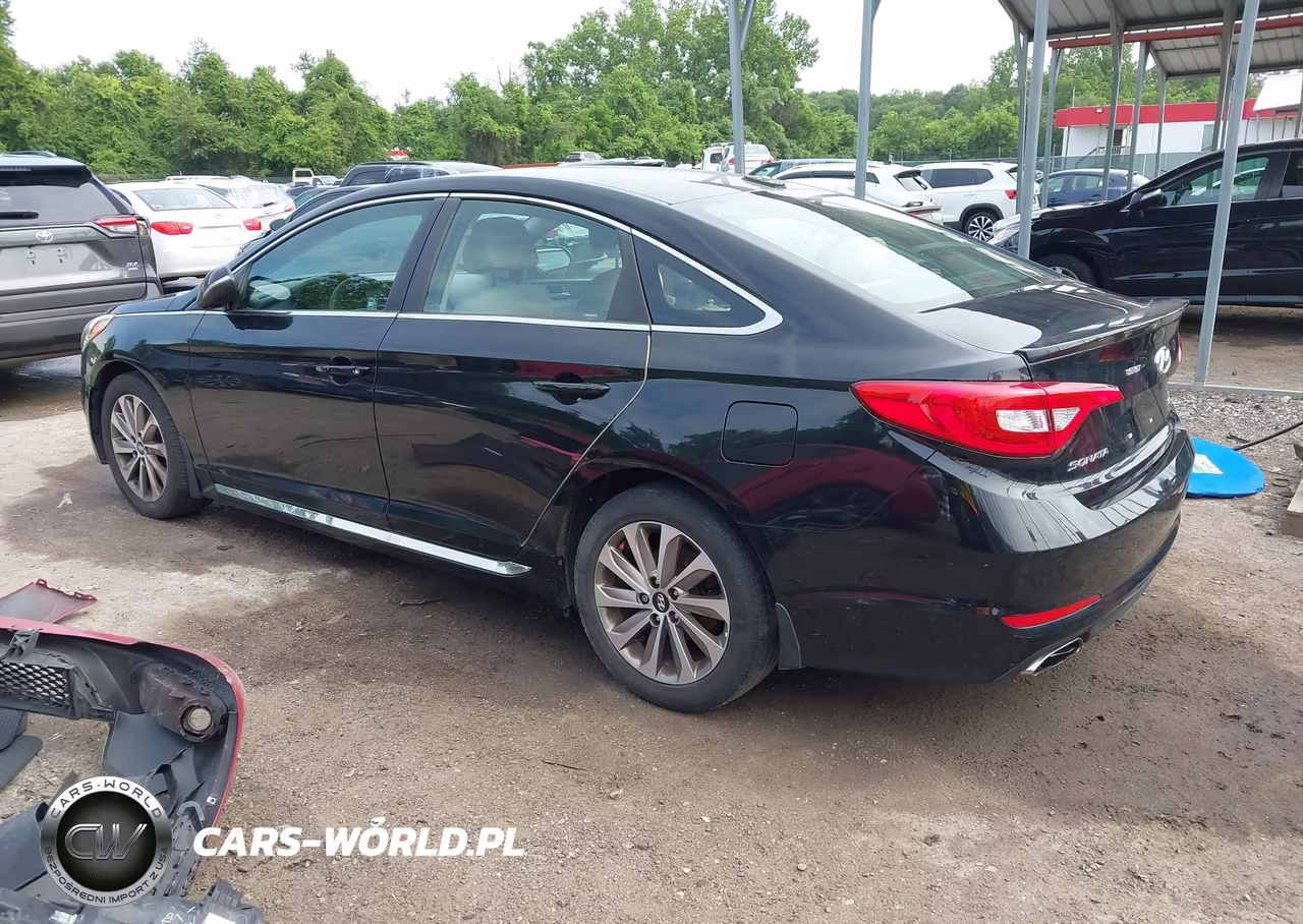 2016 Hyundai Sonata Sport VIN:5NPE34AF8GH423591 - 3