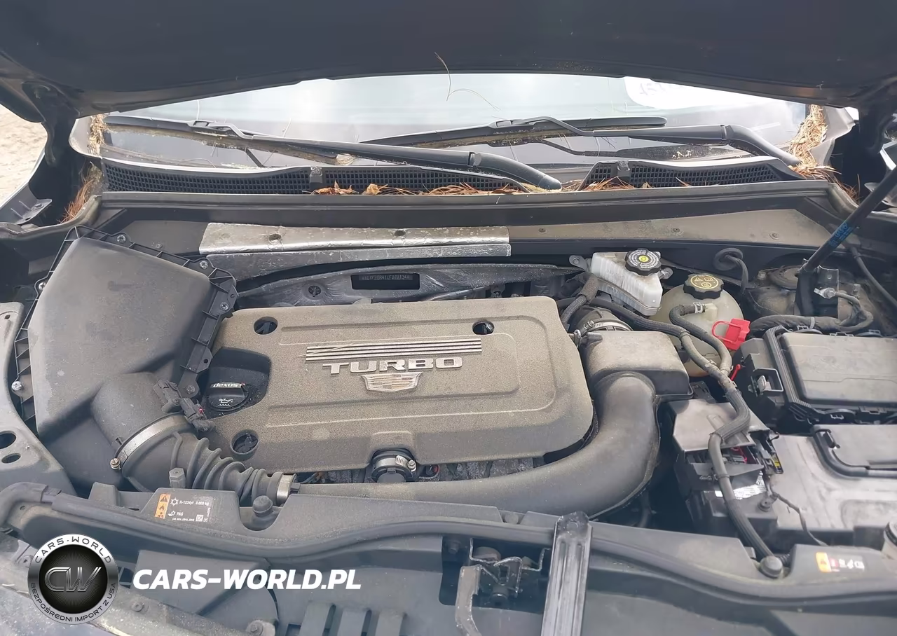 2020 Cadillac Xt4 Awd Premium Luxury VIN:1GYFZDR41LF078134 - 10