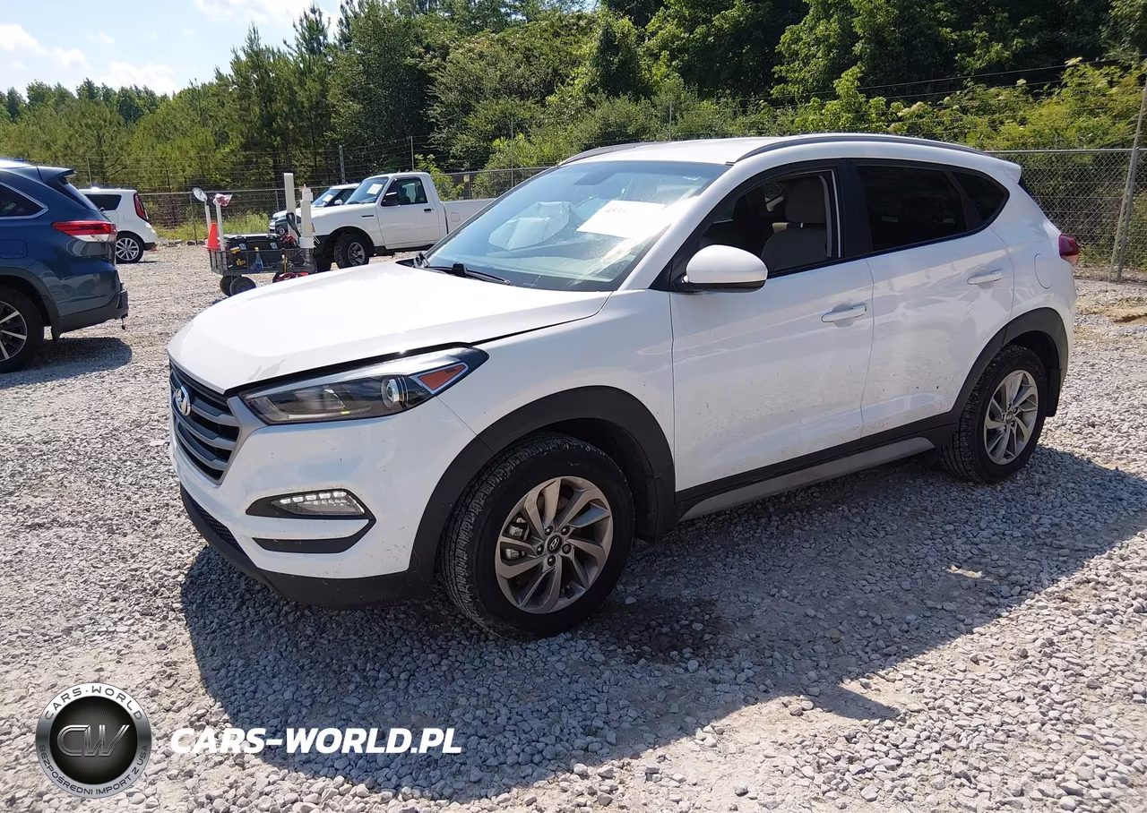 2018 Hyundai Tucson Sel VIN:KM8J33A46JU691085 - 2