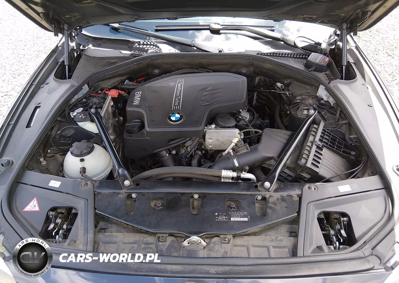 2013 BMW 528I xDrive VIN:WBAXH5C50DDW15896 - 10
