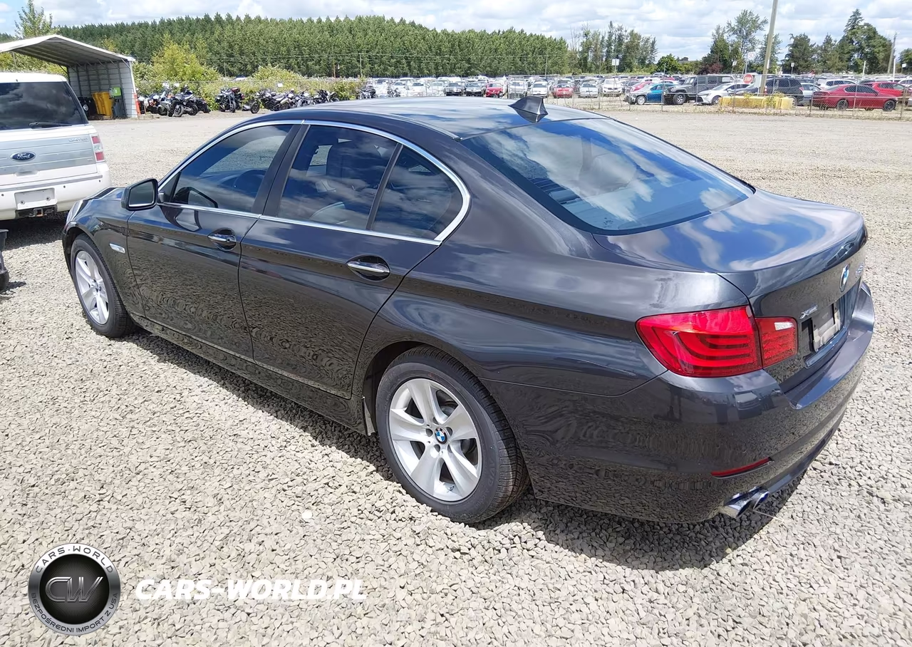 2013 BMW 528I xDrive VIN:WBAXH5C50DDW15896 - 3