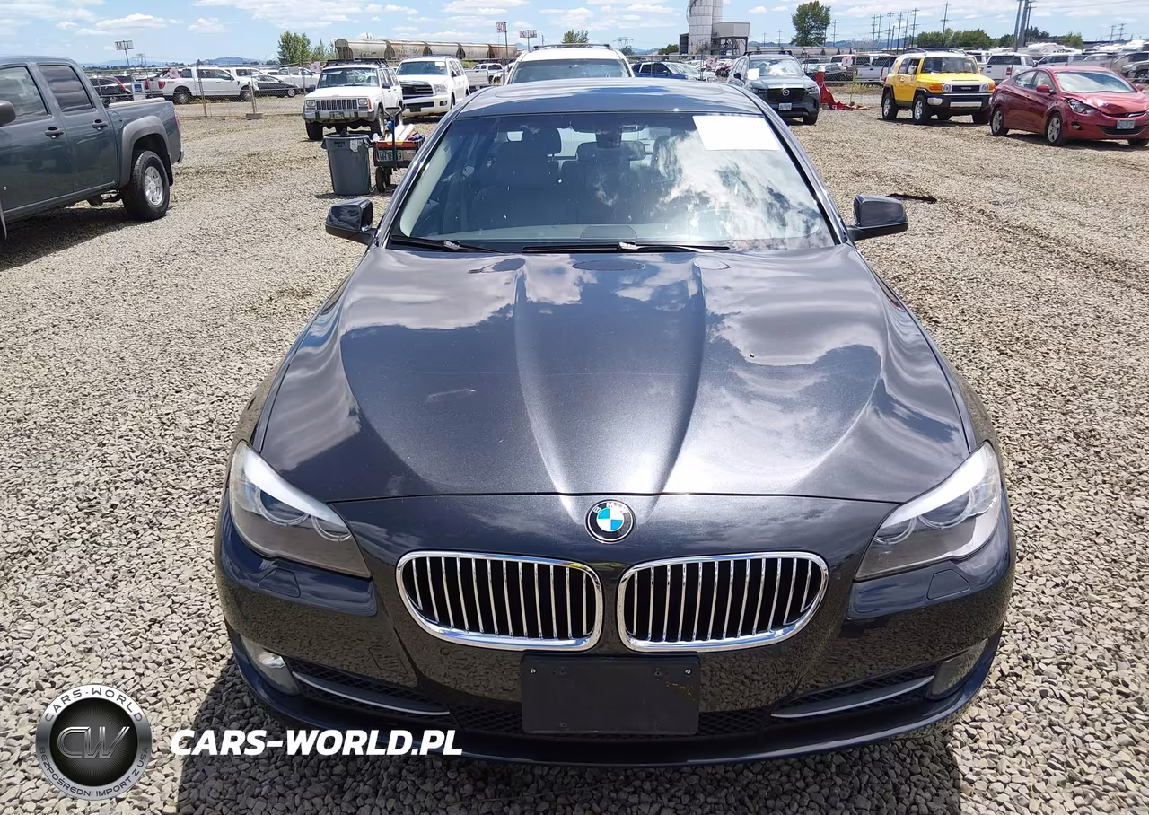 2013 BMW 528I xDrive VIN:WBAXH5C50DDW15896 - 6