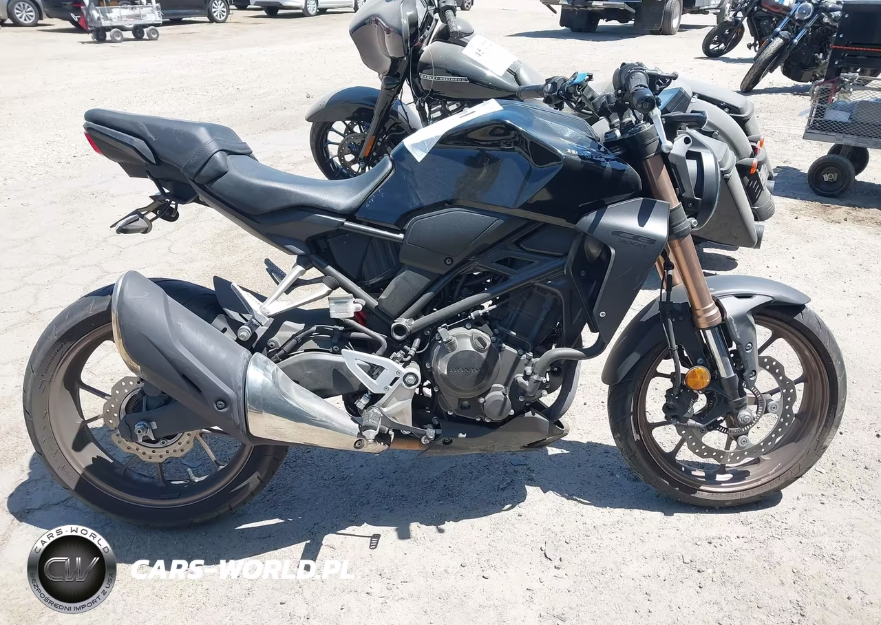2022 Honda Cbf300 Na VIN:MLHNC5558N5200520 - 12