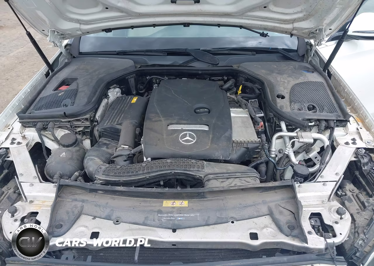 MERCEDES-BENZ E 300 VIN:WDDZF4KB6JA377560 - 10