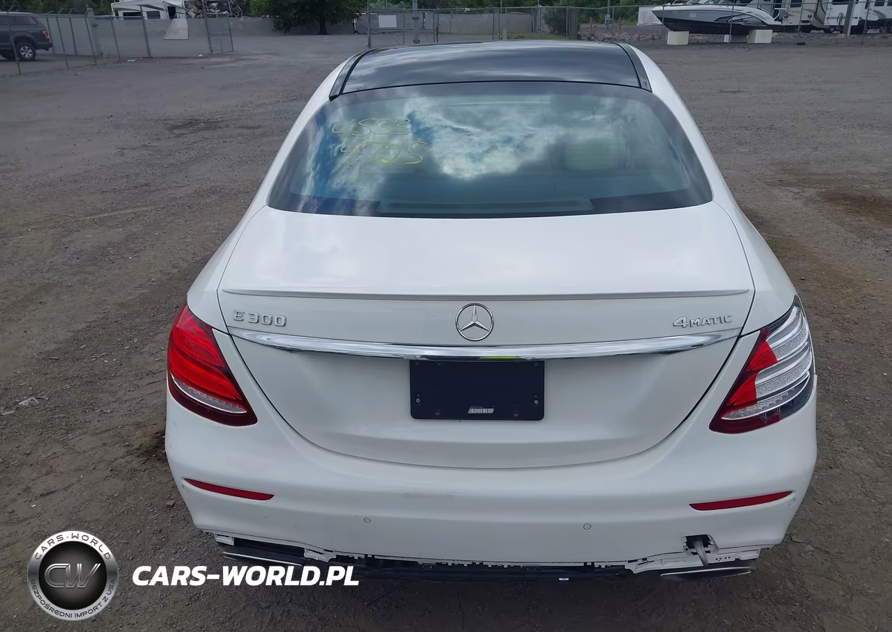 MERCEDES-BENZ E 300 VIN:WDDZF4KB6JA377560 - 16