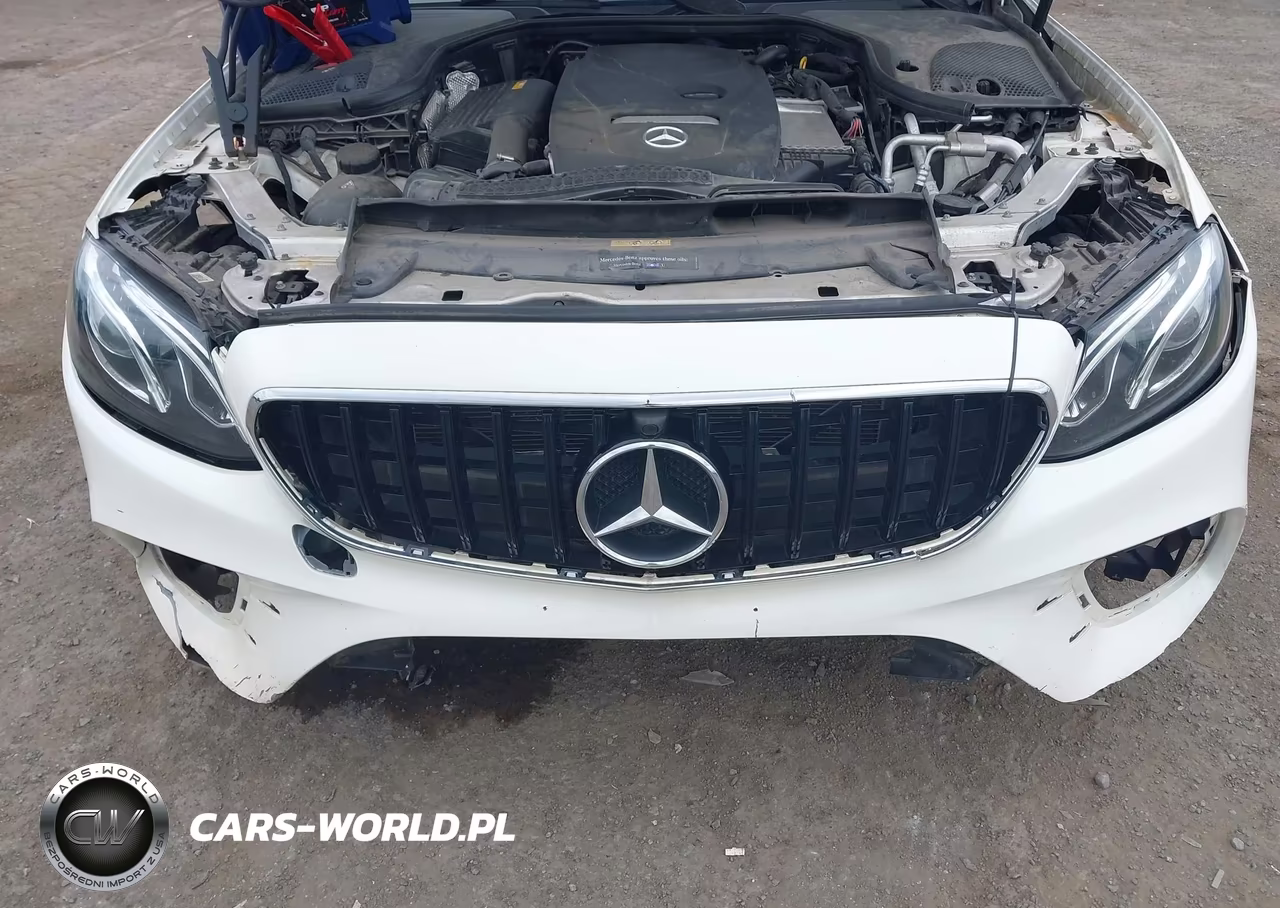 MERCEDES-BENZ E 300 VIN:WDDZF4KB6JA377560 - 17