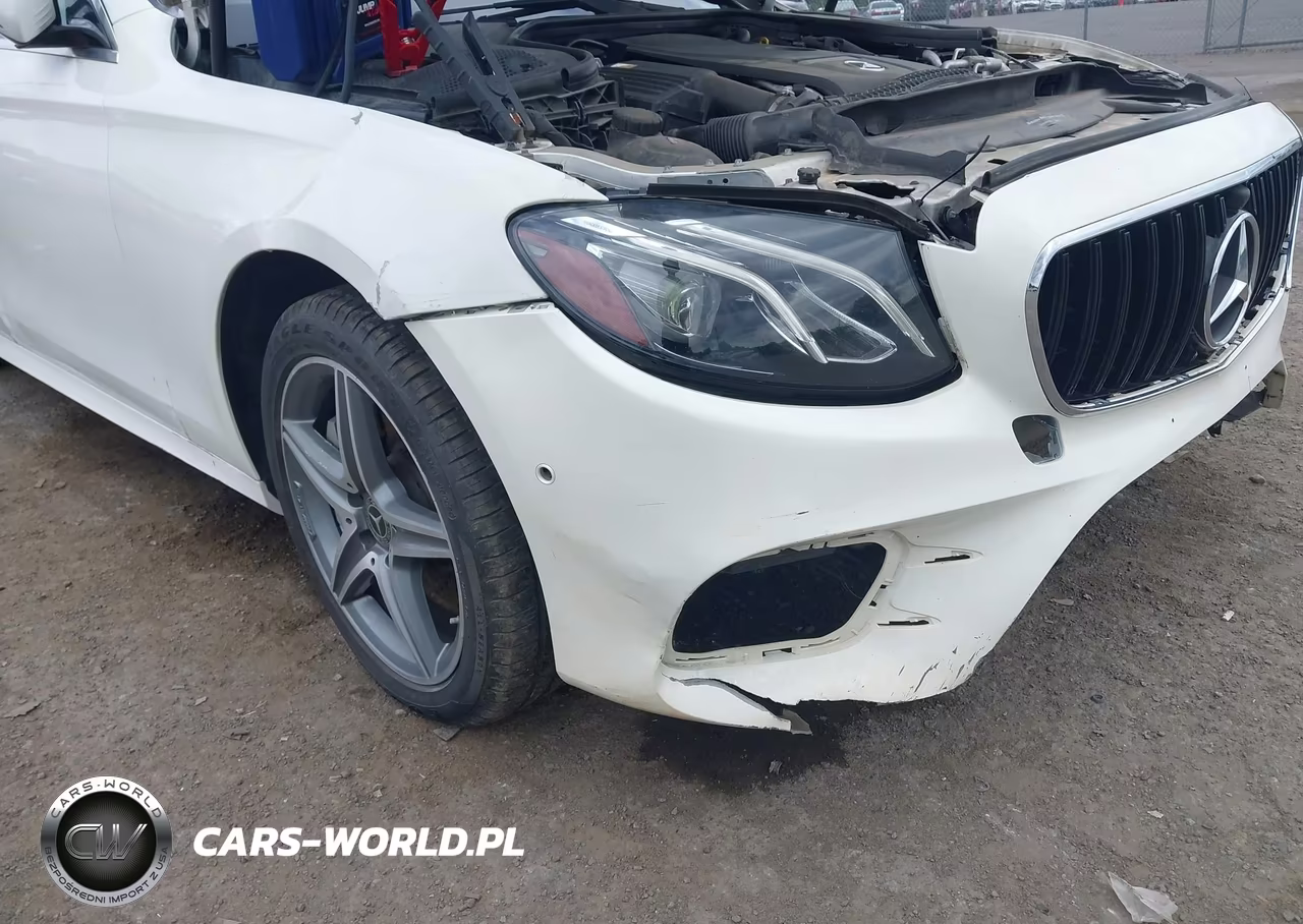 MERCEDES-BENZ E 300 VIN:WDDZF4KB6JA377560 - 18