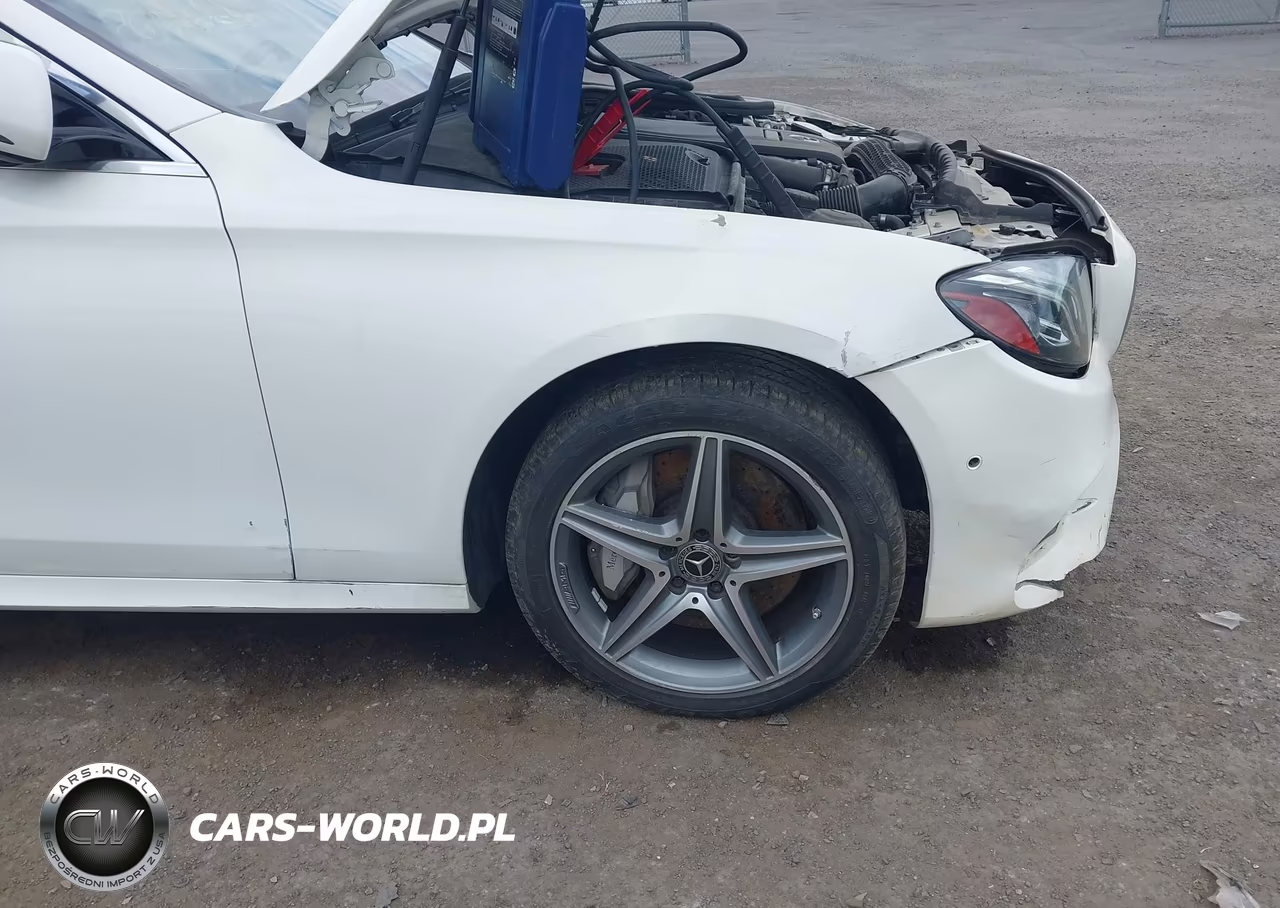 MERCEDES-BENZ E 300 VIN:WDDZF4KB6JA377560 - 19